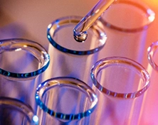 Industrie chimique, pétrolière et gazière