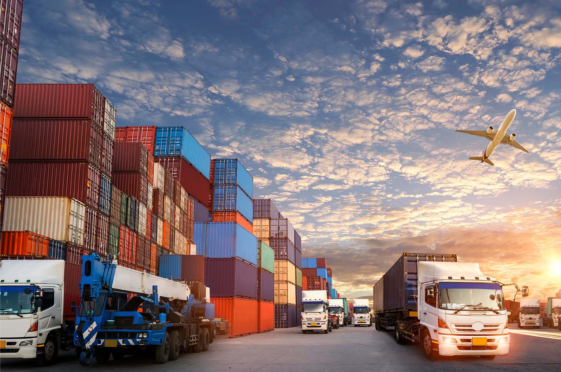 Export Preview  Digital Logistics Capacity Assessments