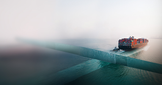 Bridging the Procurement & Supply Chain Gap